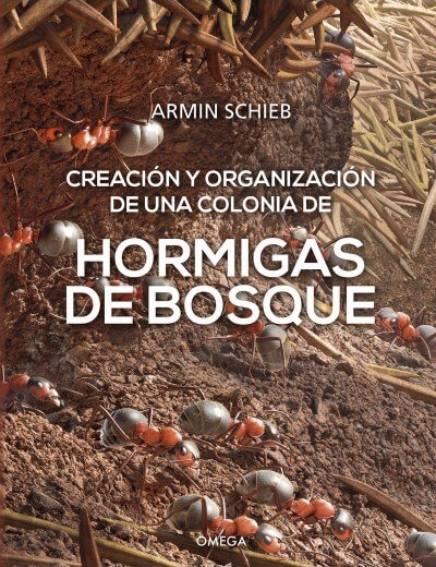 Creación y organización de una colonia de HORMIGAS DE BOSQUE - Armin Schieb